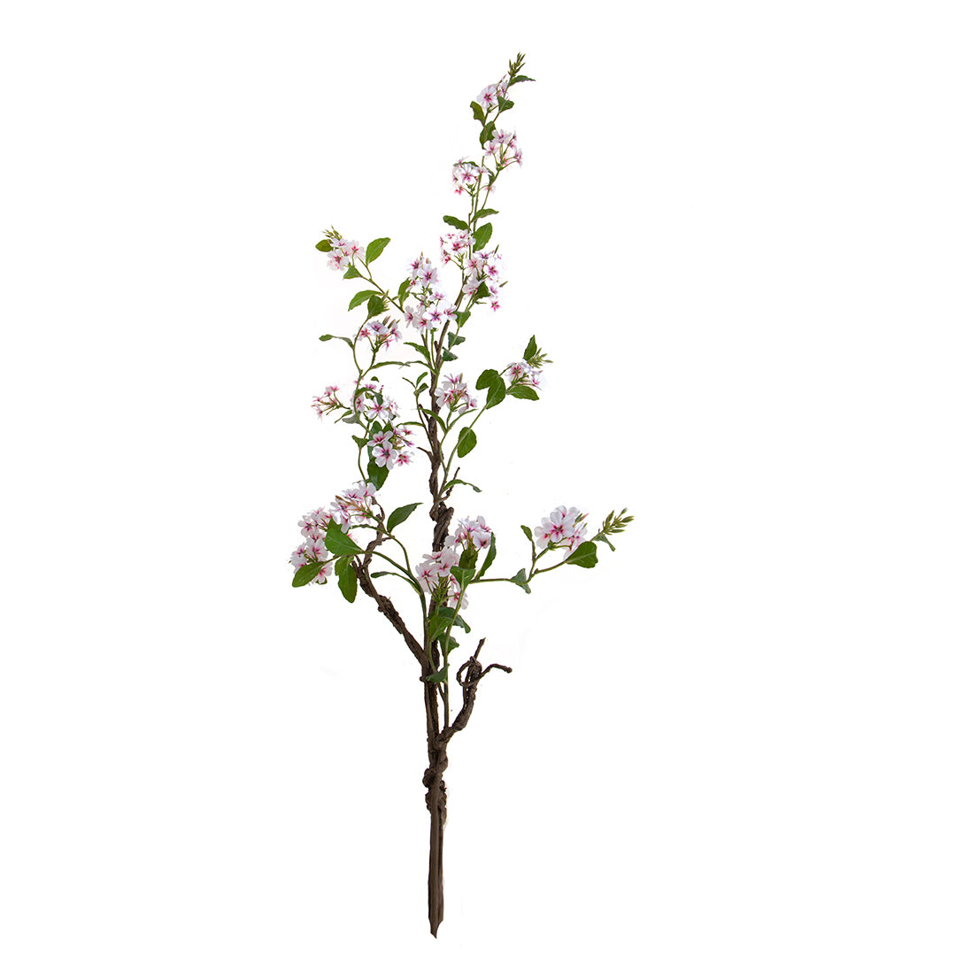 Plumbago Ramo con Fiori • 150 cm