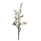 Plumbago Ramo con Fiori • 150 cm