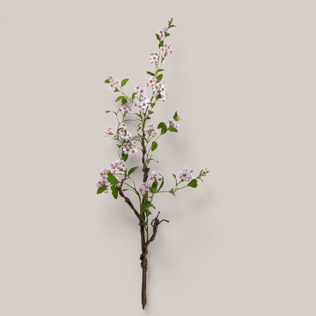 Plumbago Ramo con Fiori • 150 cm