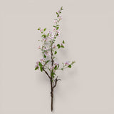 Plumbago Ramo con Fiori • 150 cm