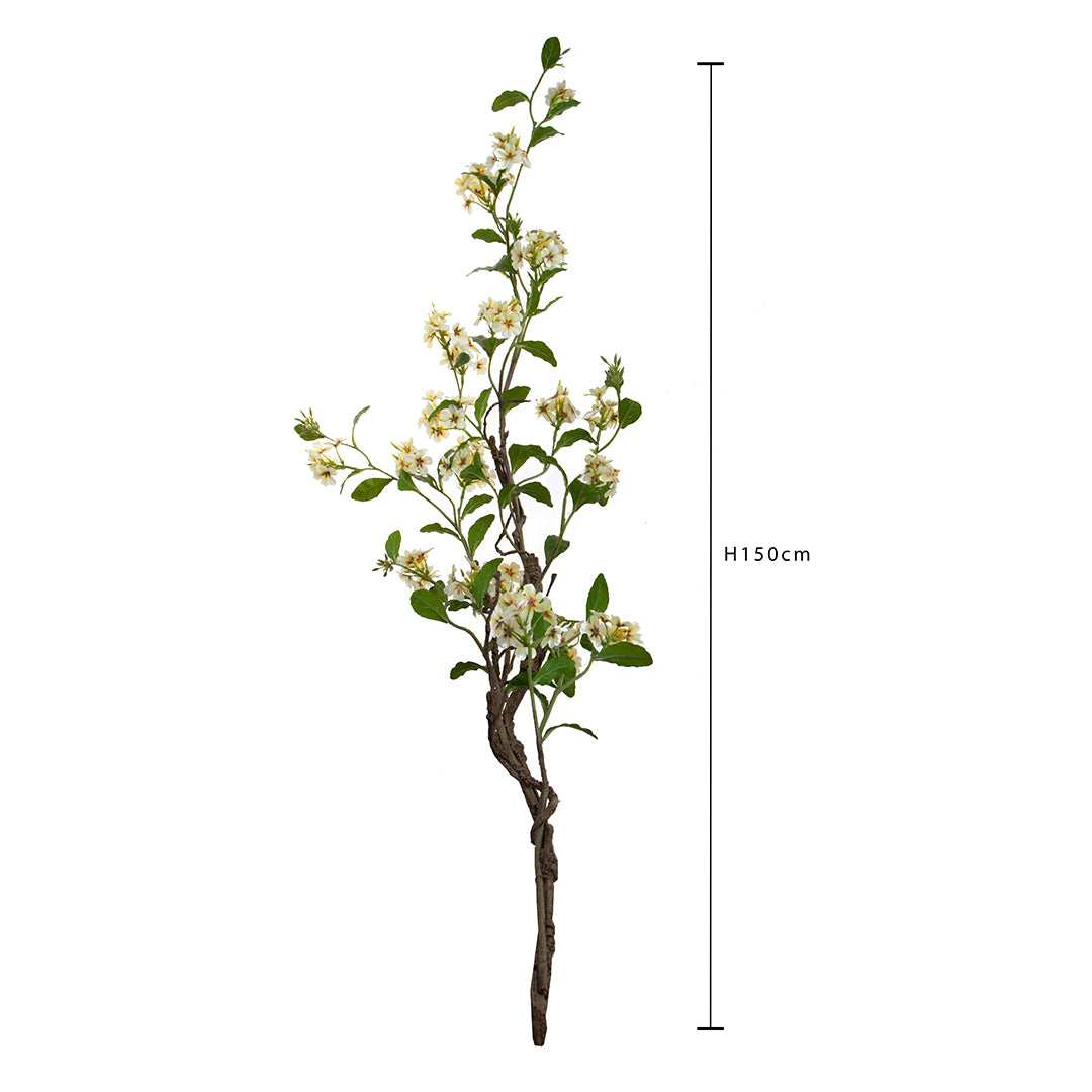Plumbago Ramo con Fiori • 150 cm