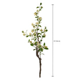 Plumbago Ramo con Fiori • 150 cm