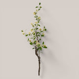 Plumbago Ramo con Fiori • 150 cm