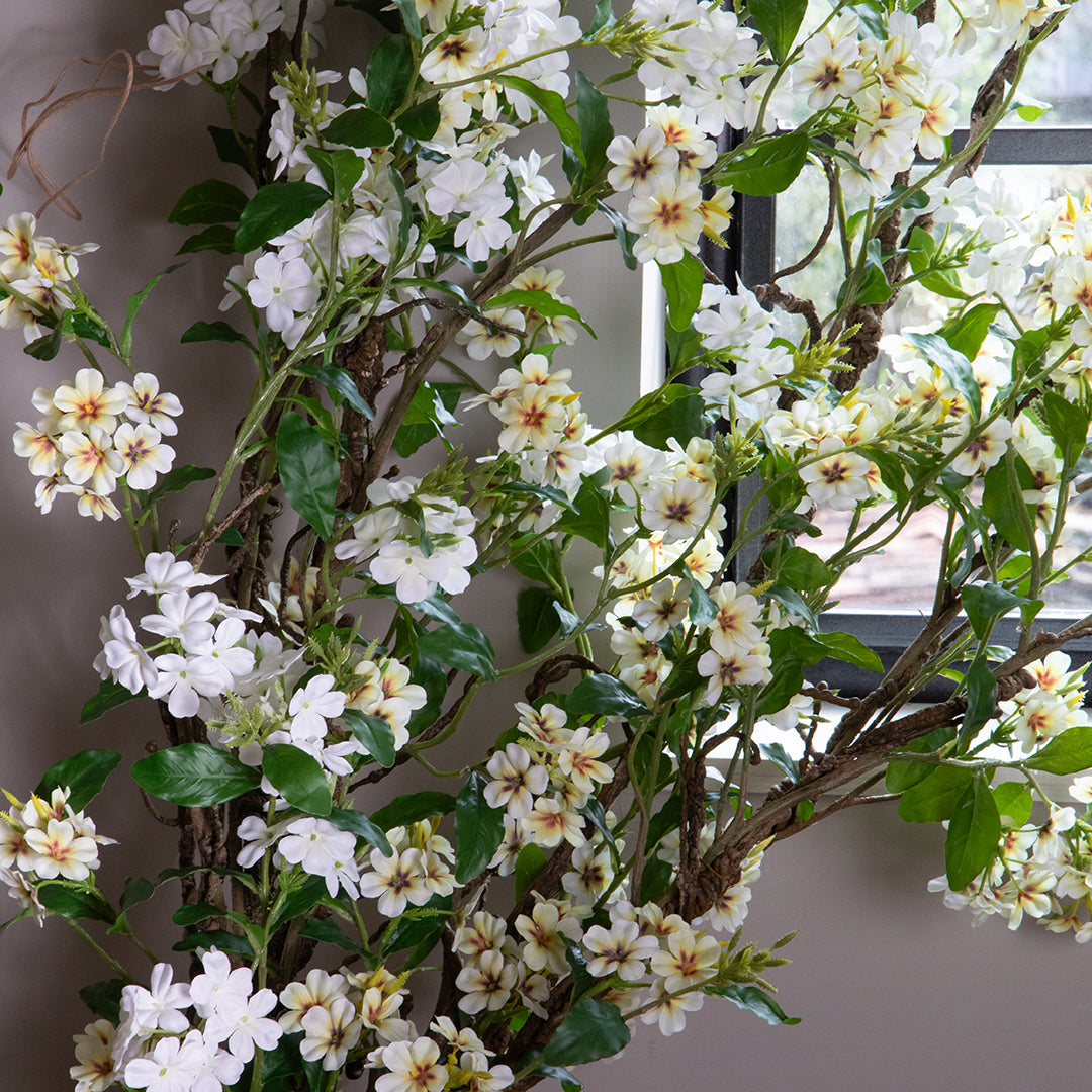 Plumbago Ramo con Fiori • 150 cm