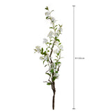 Plumbago Ramo con Fiori • 150 cm