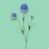 2 Pezzi • Fiore di scabiosa artificiale • 64 cm