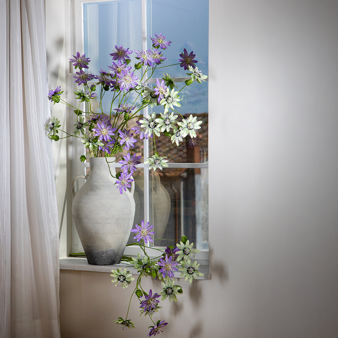 Passiflora •  103 cm