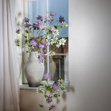 Passiflora •  103 cm