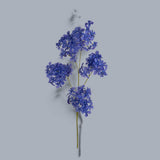 6 Pezzi • Plumbago •  105 cm