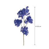 Plumbago •  105 cm