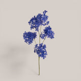 Plumbago •  105 cm