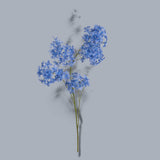6 Pezzi • Plumbago •  105 cm