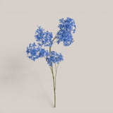 Plumbago •  105 cm