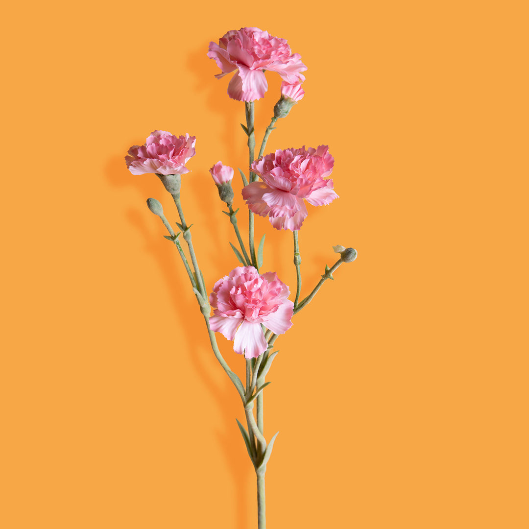 8 Pezzi • Fiore di garofanello artificiale • 62 cm