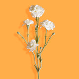 8 Pezzi • Fiore di garofanello artificiale • 62 cm
