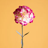 8 Pezzi • Garofano artificiale • 67 cm