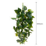 Pothos 166 foglie Cadente • 95 cm