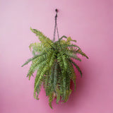 Verde artificiale Felce cadente con cesto • 96 cm