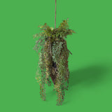Mix cadenti artificiale • 124 cm