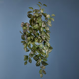 Verde artificiale Pianta pilea cadierei a 9 diramazioni • 71 cm