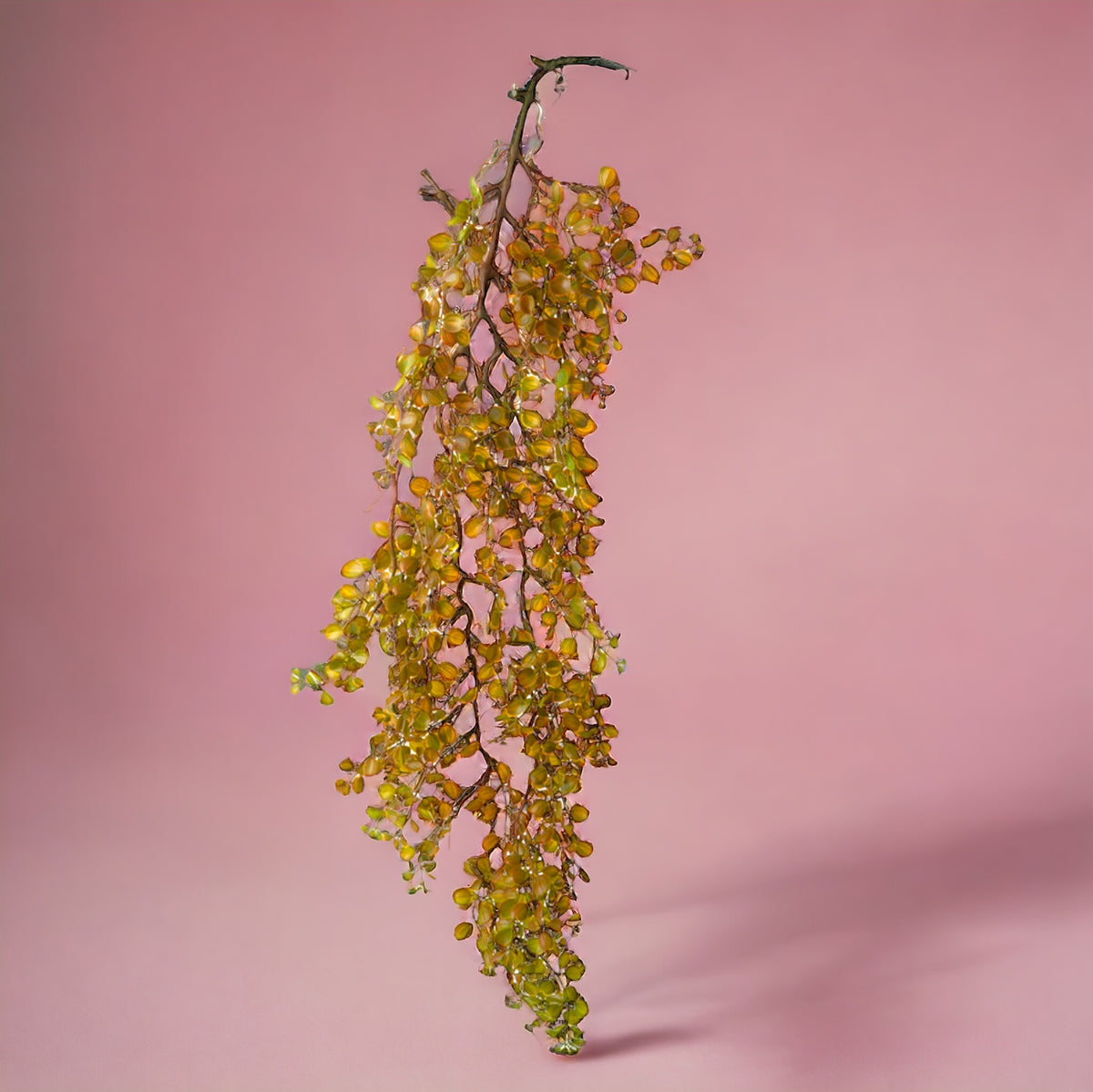 Dischidia cadente artificiale •  95 cm