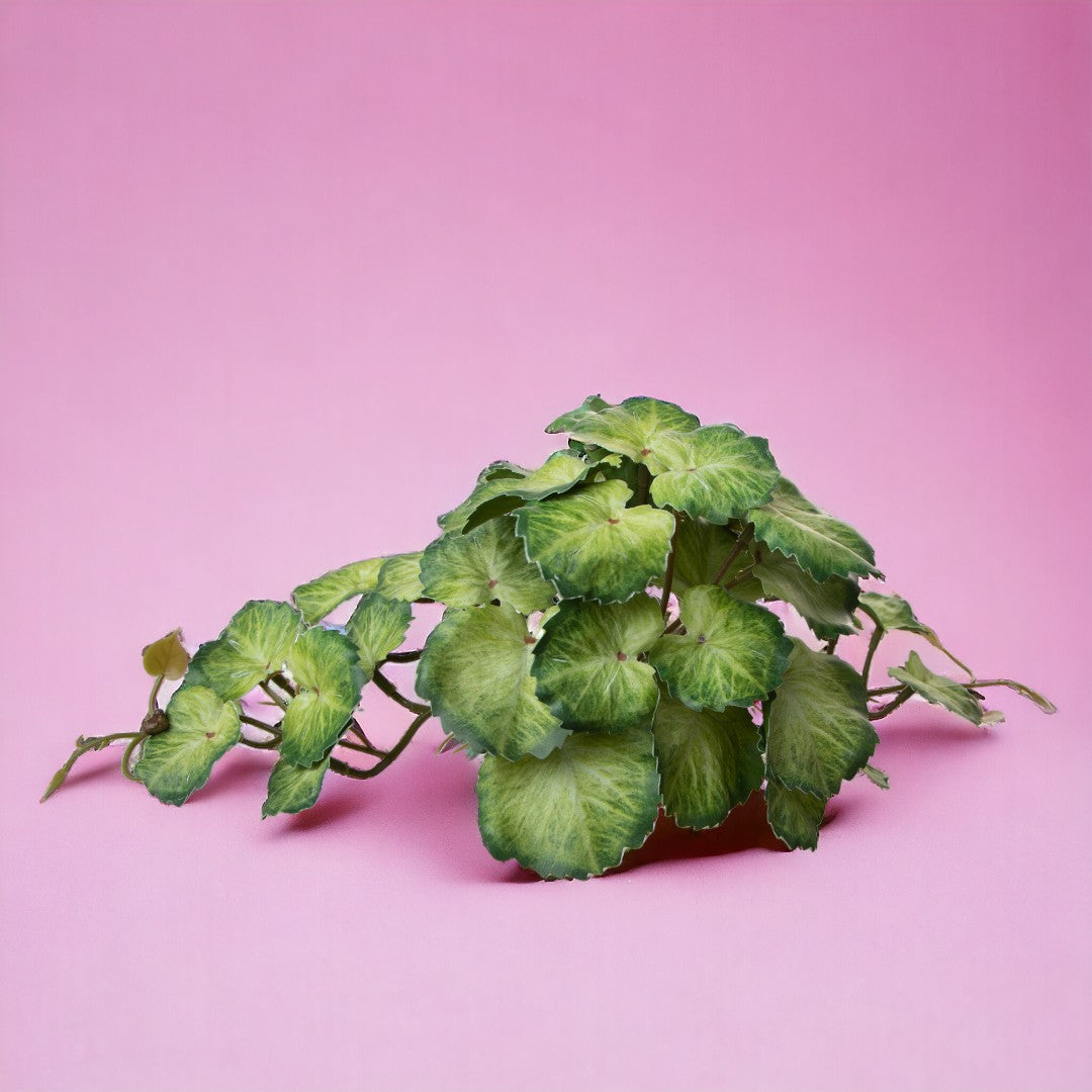 Heuchera 36 foglie artificiale •  20 cm