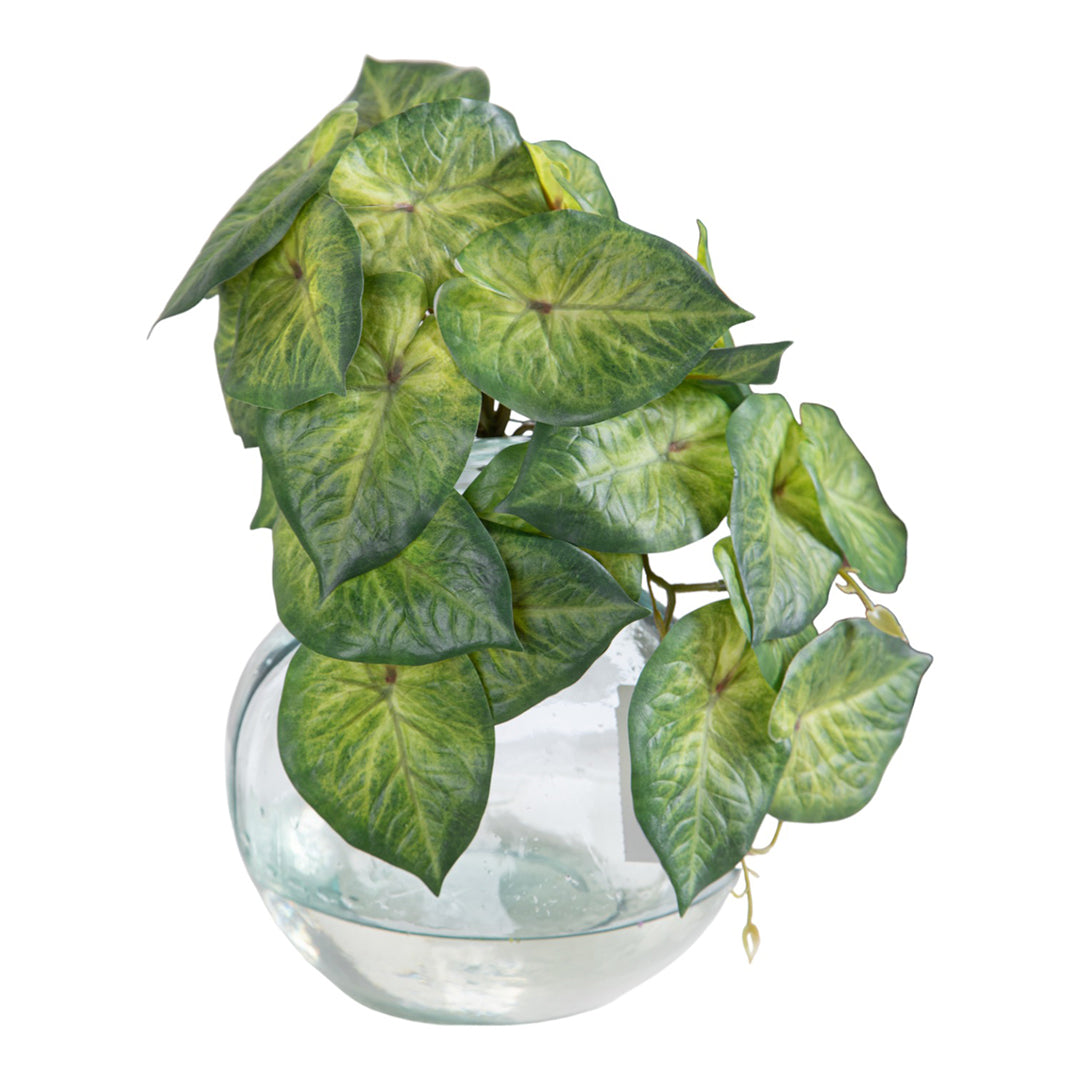 Syngonium con foglie artificiale •  18 cm