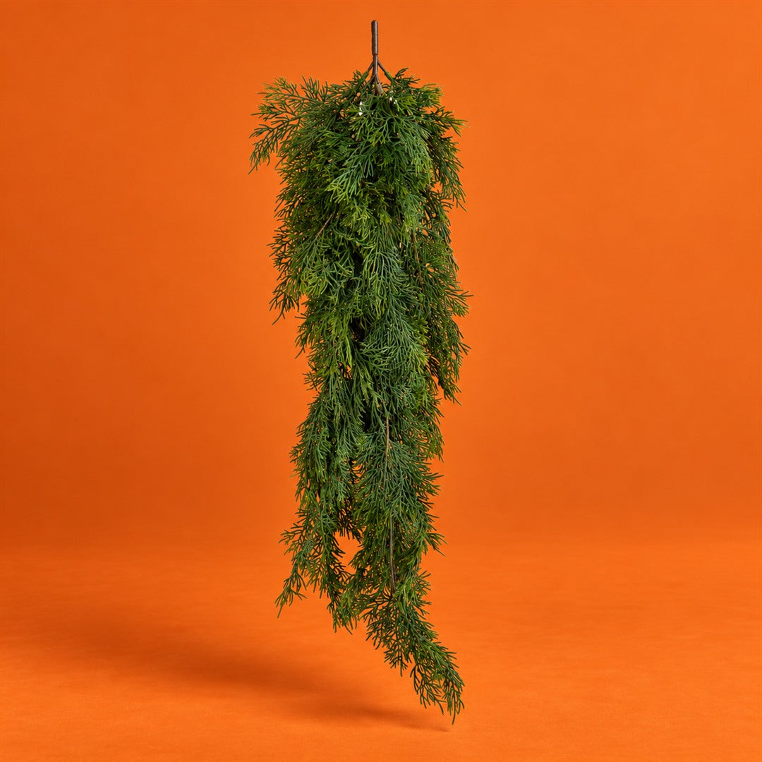 Cipressorami • H 83 cm