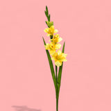 8 Pezzi • Gladiolo artificiale mini • 74 cm
