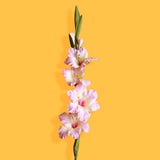 3 Pezzi • Fiore di bougainville artificiale • 85 cm