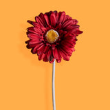 8 Pezzi • Fiore di gerbera artificiale • 53 cm