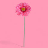 8 Pezzi • Fiore di gerbera artificiale • 53 cm