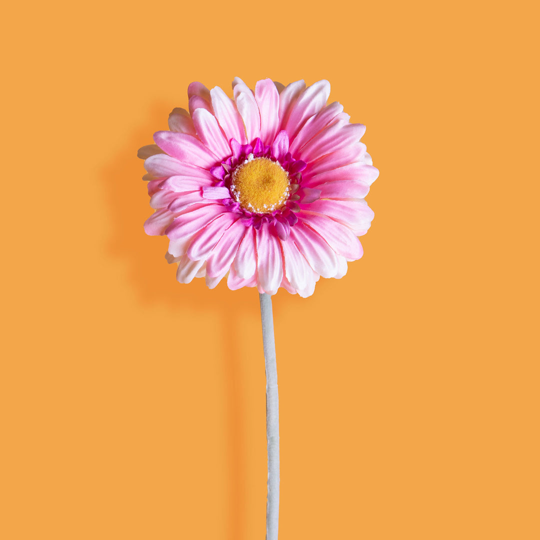 8 Pezzi • Fiore di gerbera artificiale • 43 cm