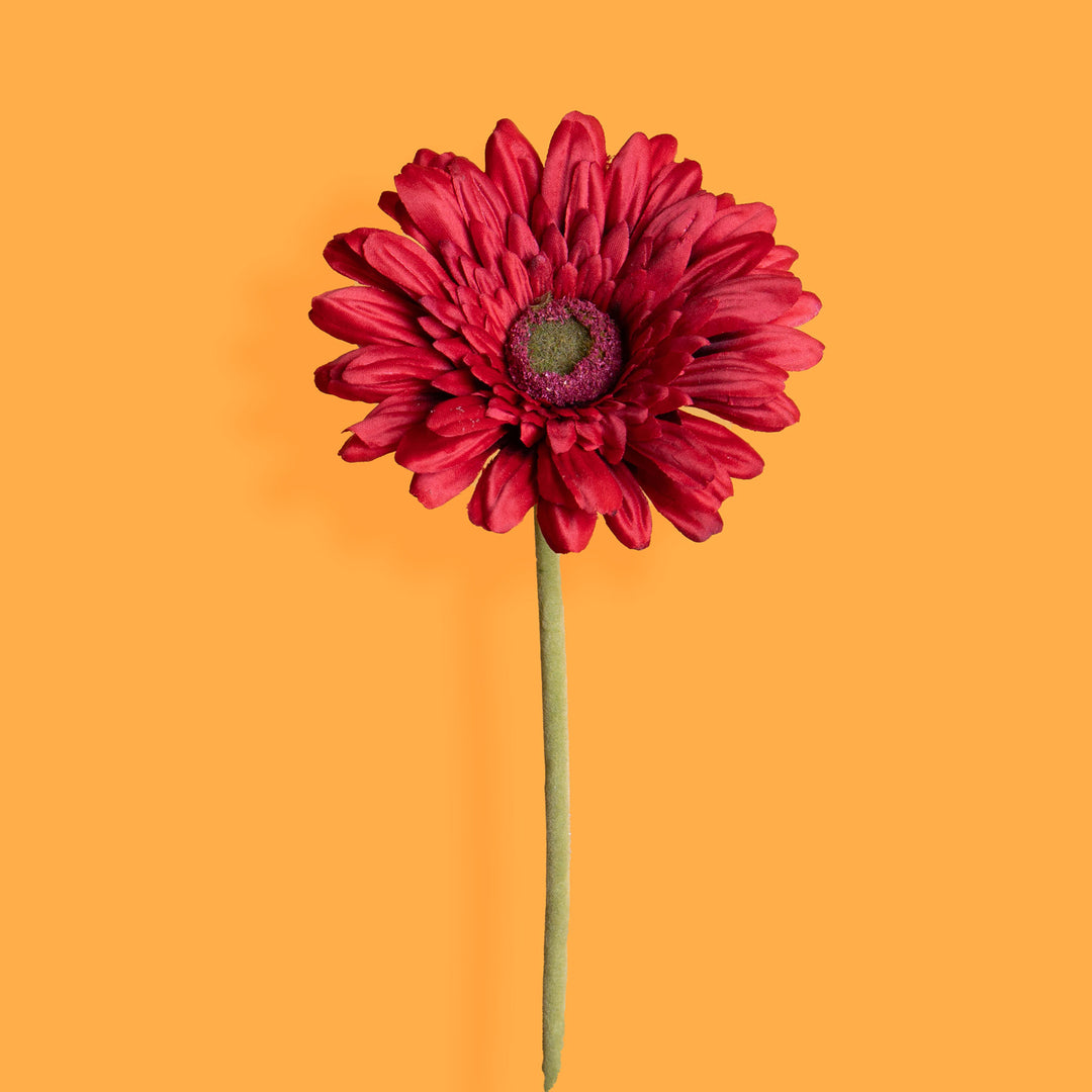8 Pezzi • Fiore di gerbera singolo artificiale • 62 cm