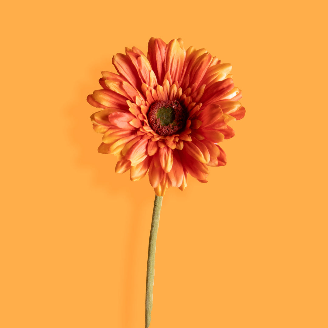 8 Pezzi • Fiore di gerbera singolo artificiale • 62 cm