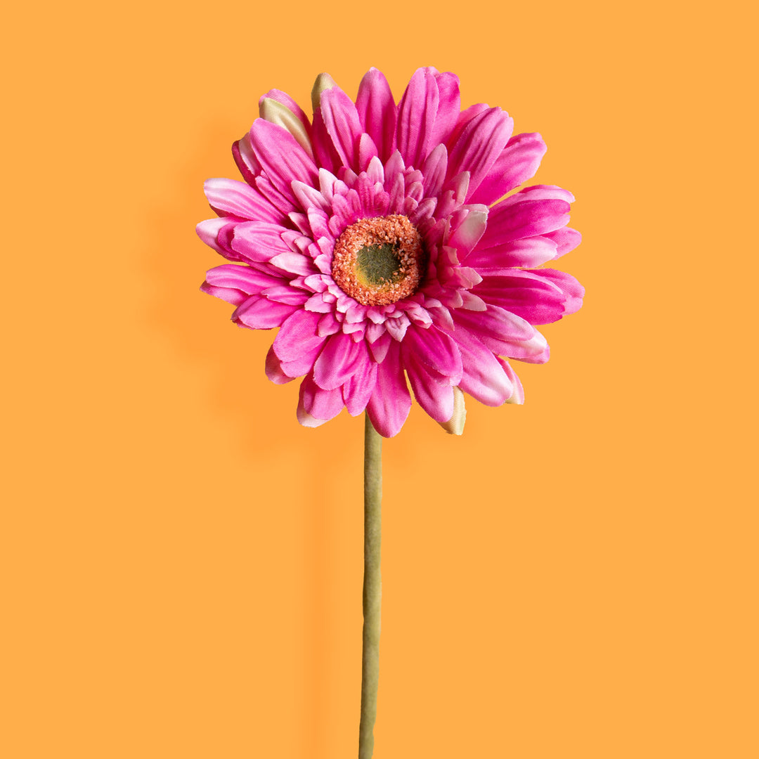 8 Pezzi • Fiore di gerbera singolo artificiale • 62 cm