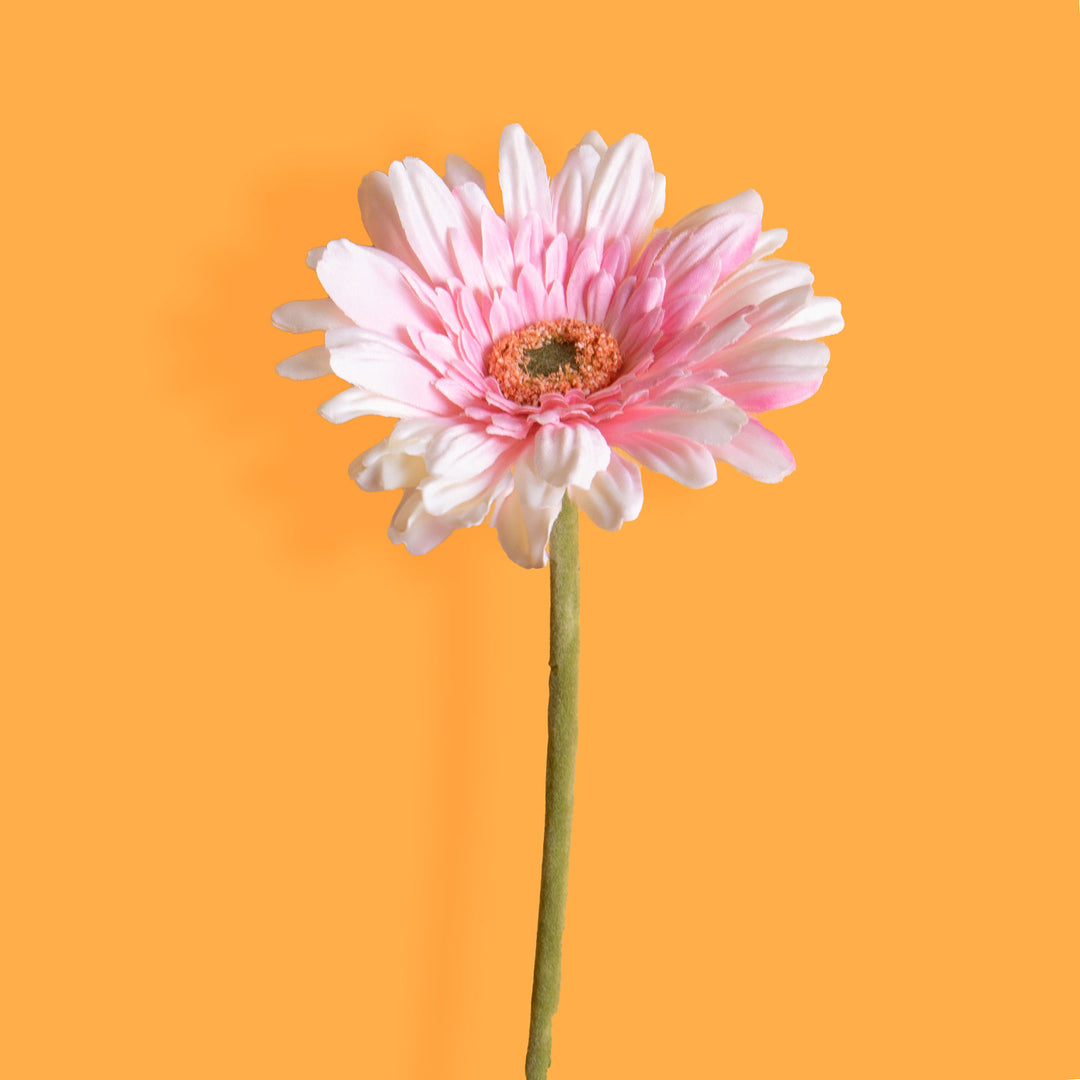 8 Pezzi • Fiore di gerbera singolo artificiale • 62 cm