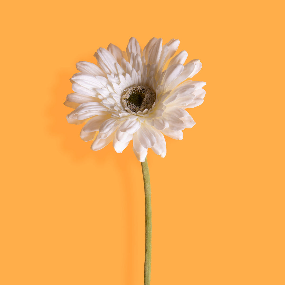 8 Pezzi • Fiore di gerbera singolo artificiale • 62 cm