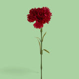 18 Pezzi • Garofano con 6 Foglie • 57 cm