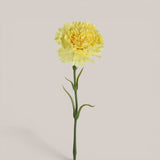 Garofano con 6 Foglie • 57 cm