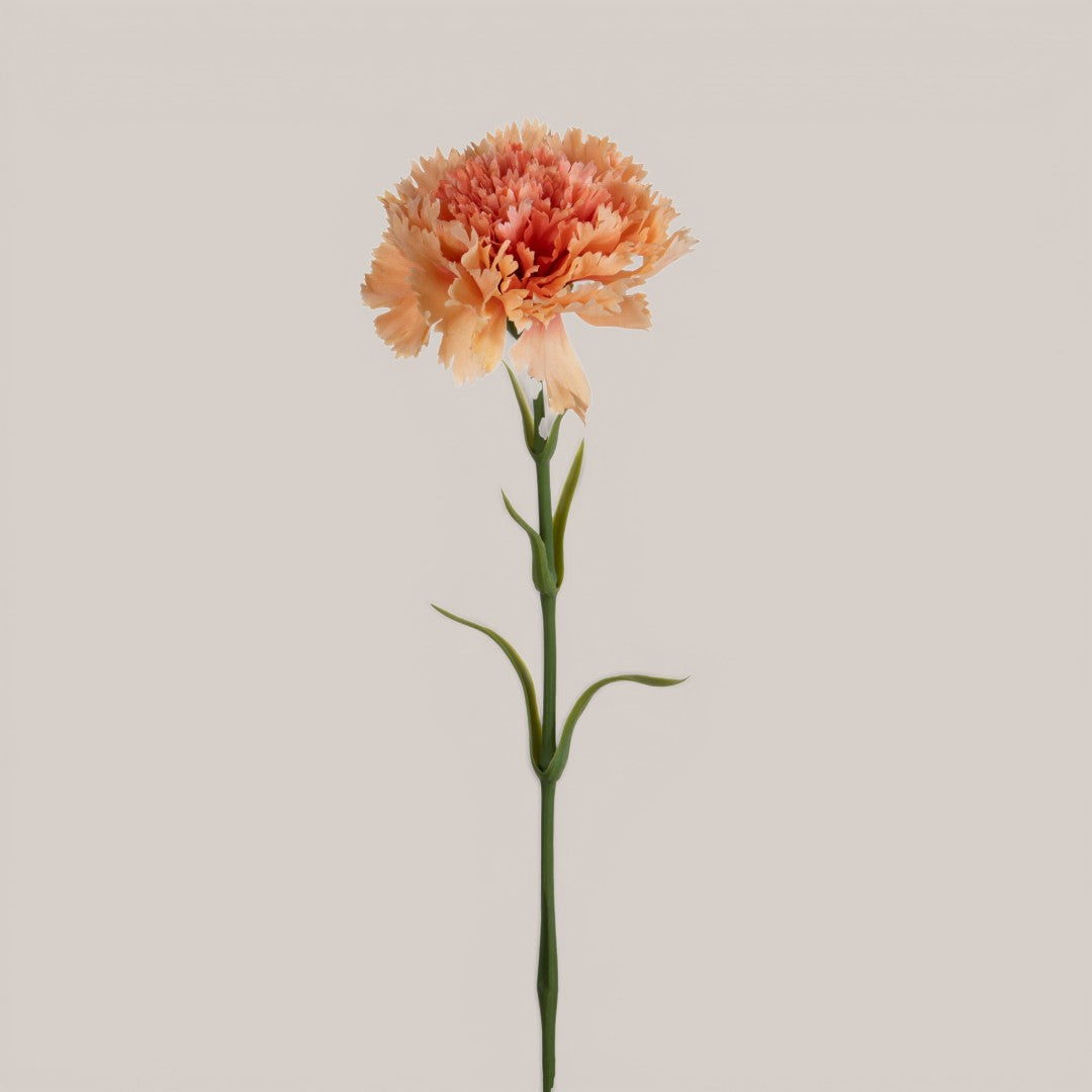 Garofano con 6 Foglie • 57 cm