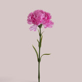 18 Pezzi • Garofano con 6 Foglie • 57 cm
