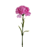 Garofano con 6 Foglie • 57 cm