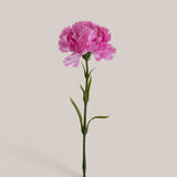 Garofano con 6 Foglie • 57 cm