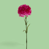 18 Pezzi • Garofano con 6 Foglie • 57 cm