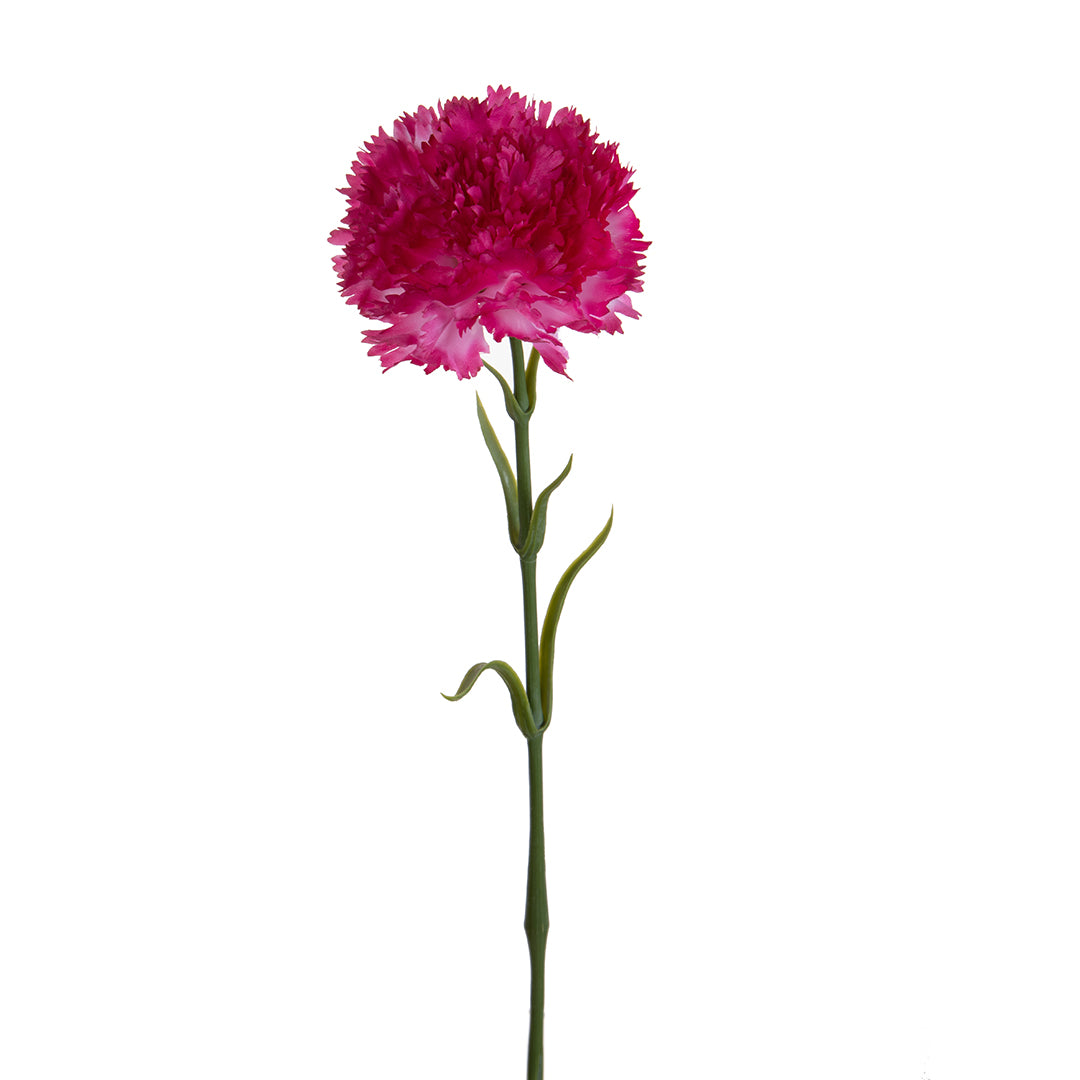 Garofano con 6 Foglie • 57 cm