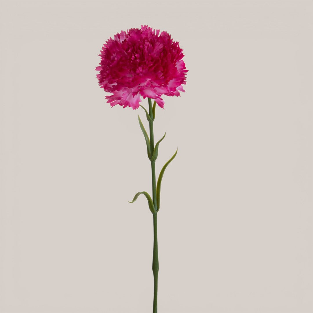 Garofano con 6 Foglie • 57 cm