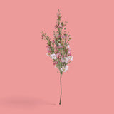 12 Pezzi • Fiori Di Campo Ramo con 21 Fiori • 58 cm
