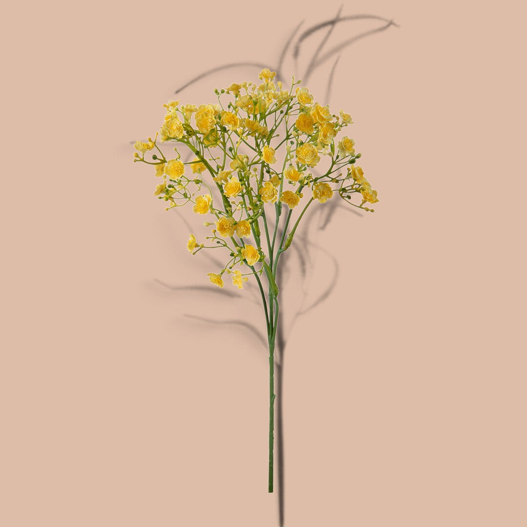 12 Pezzi • Gipsophila a doppio petalo •  46 cm