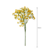 Gipsophila a doppio petalo •  46 cm